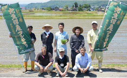 6T05-3【3ヶ月連続お届け】北魚沼産コシヒカリ特別栽培米5kg（長岡川口地域）