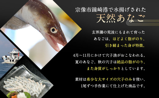 天然あなごの刺身【宗像産】1～2人前(60g)×3パック【宗像漁協】_HA0453