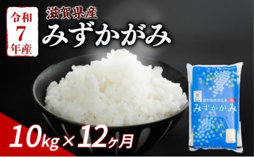 みずかがみ 10kg 12ヶ月定期便 令和7年産 米 こめ ご飯 米 定期便 12回定期便 12か月定期便 12回 12か月 10キロ 令和7年 滋賀 彦根