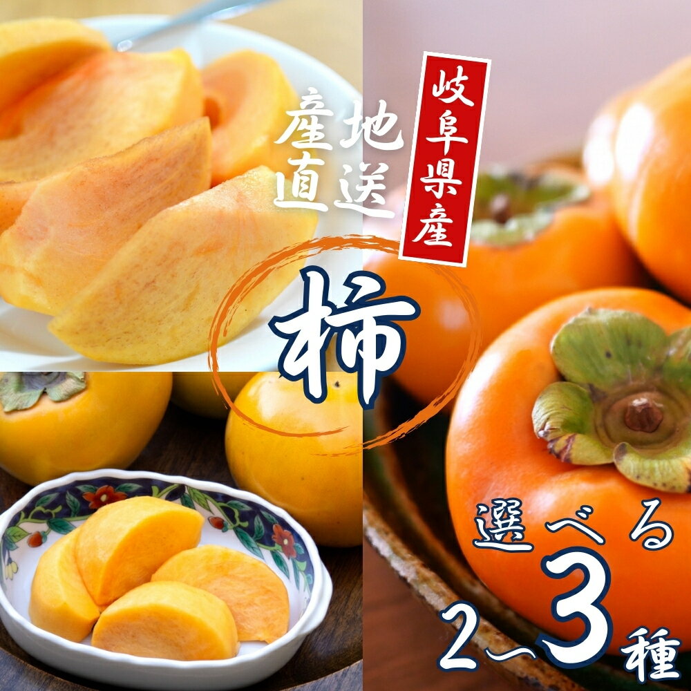 【ふるさと納税】【先行予約】令和7年産 [定期便] 選べる 柿 2 or 3種食べ比べ 約3kg 4.5kg 太秋柿 陽豊柿 富有柿 2L 〜 3Lサイズ 各5-6個 入り《10月上旬より収穫でき次第発送 かき お楽しみ フルーツ カキ 果物 くだもの 産地直送 先行予約 岐阜県 本巣市 高橋柿ファーム