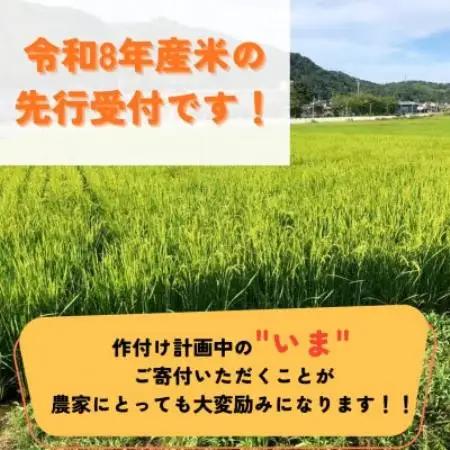 【先行受付】令和8年産米 京都府与謝野町産 丹後コシヒカリ 精米10kg　特別栽培米 京の豆っこ米【1737461】