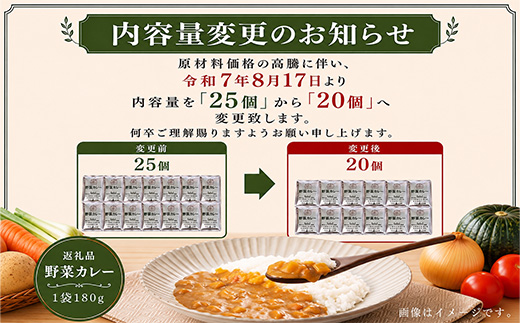 カレー専門店Sabziオリジナル野菜カレー 180g×25食(合計4.5kg) レトルト 簡単調理 長期保存 朝カレー ランチ
