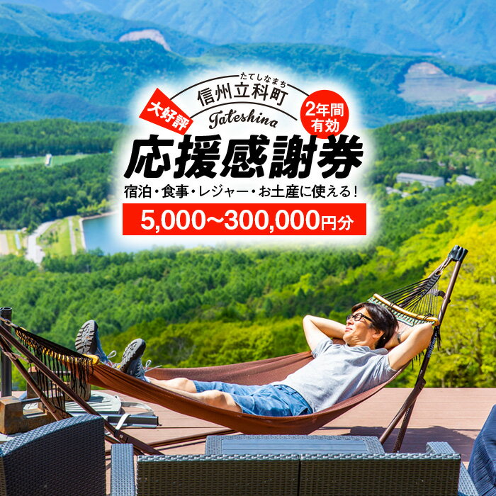 【ふるさと納税】 ふるさと納税限定「立科町応援感謝券」1,000円×5枚〜300枚 | クーポン チケット 飲食店 商品券 アクティビティ レジャー 旅行 観光 旅行券 体験 宿泊 ホテル 白樺湖 女神湖 ふるさと 信州 長野県 立科町 蓼科