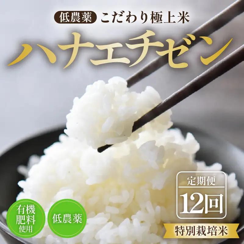 【先行予約】【令和8年産・新米】《定期便》特別栽培米 ハナエチゼン 低農薬 5kg×12回 60kg 《食味値85点以上！こだわり極上米》 / 福井県 あわら 北陸 米 お米 人気 ※2026年9月下