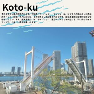 江東区に泊まるふるさと納税旅行クーポン　12,000円分 【kt094-004】