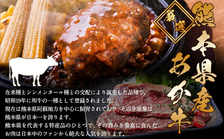 ステーキマニア監修 熊本県産あか牛100%生ハンバーグ 140g×13個入り 合計1820g 1.82kg以上《30日以内に出荷予定(土日祝除く)》熊本県産あか牛 バイキングベーカリー 冷凍