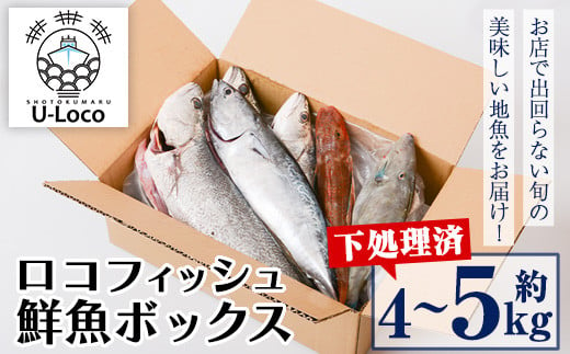 
A78004 漁師厳選！ロコフィッシュ(地魚) 下処理済 鮮魚 ボックス(約4～5kg)地魚 魚 お魚 冷蔵 生もの 加工品 未利用魚 低利用魚 焼き魚 焼魚 刺し身 刺身 煮魚 届くまでのお楽しみ【昌徳丸】
