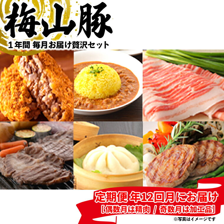 【ふるさと納税】 【12回毎月定期便】塚原牧場の幻の豚「梅山豚」の贅沢定期便 ブランド豚 メイシャントン 境町 12回コース