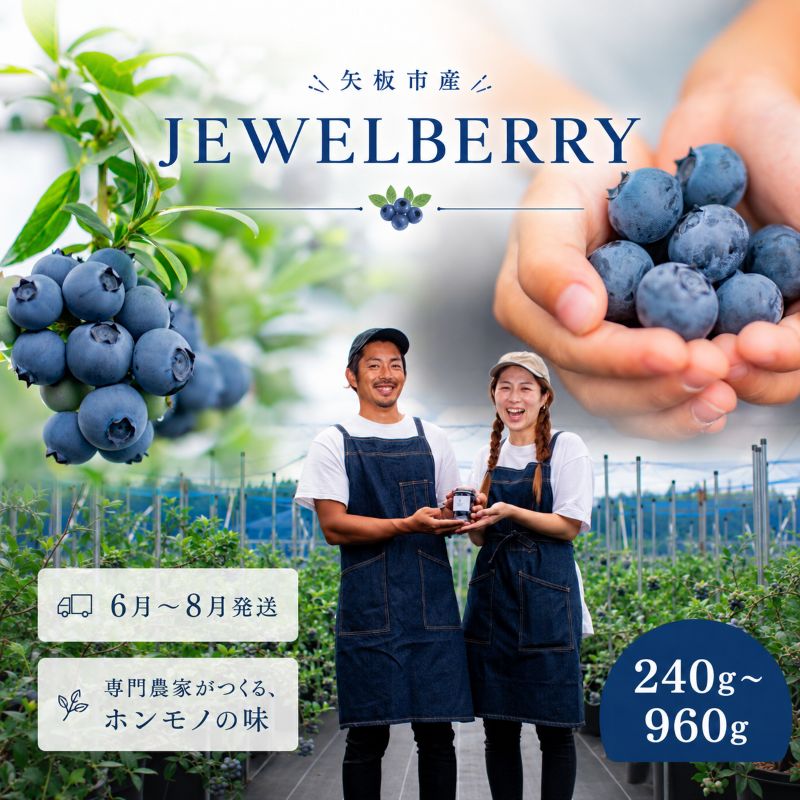【ふるさと納税】ブルーベリー 矢板市産 選べる 2P～8P【2026年6月～8月発送】 | フルーツ 新鮮 夏 贅沢 お取り寄せ 栃木県 矢板市