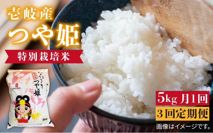 
            【先行予約】【全3回定期便】壱岐産 つや姫 5kg【2025年10月中旬以降順次発送】《壱岐市》【壱岐市農業協同組合】 [JBO056] 米 お米 白米 ご飯 ごはん 5キロ お弁当 朝食 定期便   51000 51000円
          