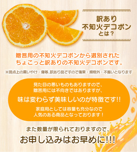 ちょこっと訳あり! 不知火 デコポン 約5kg【ご家庭用】 ※2026年2月中旬～4月中旬ごろ順次発送予定（お届け日指定不可） / 訳あり不知火 訳ありデコポン 訳ありみかん 訳あり ワケあり ワケア