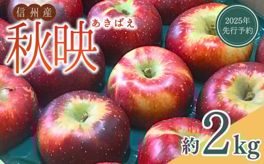 【2025年先行予約】りんご 秋映(長野県オリジナル品種) 太陽の恵みたっぷり 約2kg あきばえ 果物 フルーツ 長野県産 千曲市 信州