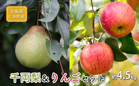 梨・りんご詰合せ 千両梨りんご 北海道産 梨・りんご詰合せ【約4.5kg】