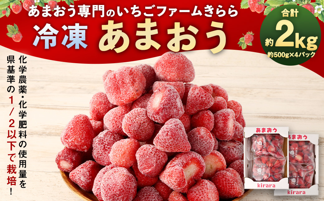 
            「いちごファームきらら」の 冷凍 あまおう 2kg / 苺 いちご イチゴ 果物 フルーツ デザート おやつ お取り寄せ 冷凍
          