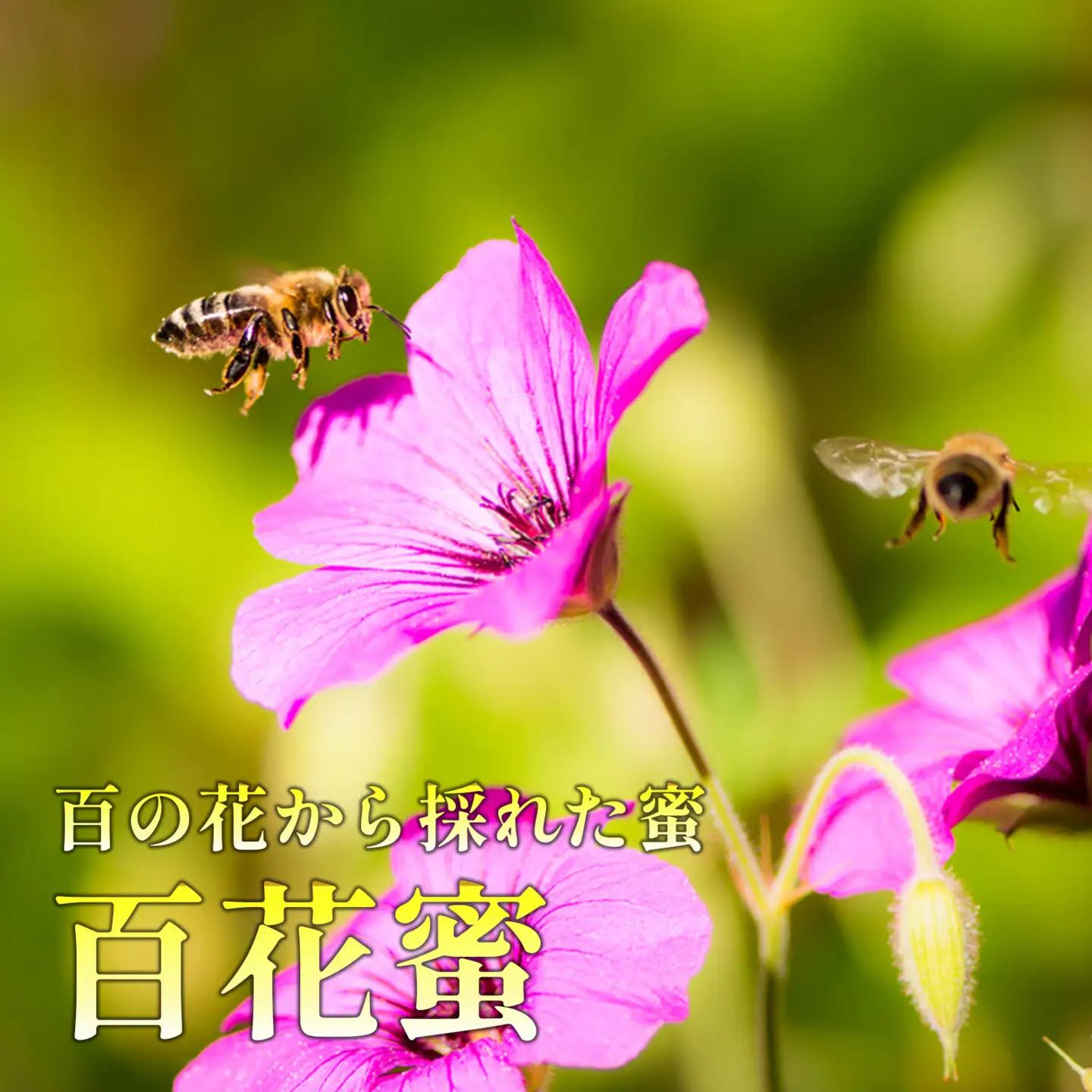 百花はちみつ 150g×2本 計300g はちみつ 生はちみつ