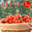 【ふるさと納税】【2025年1月〜発送】トマトベリー 1kg / ミニトマト トマト トマトベリー とまと 野菜 サラダ プチトマト 野菜 産地直送 予約 1kg 送料無料 / 南島原市 / 長崎県農産品流通合同会社 [SCB029]