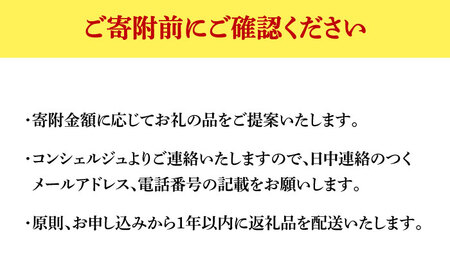 【那珂川市コンシェルジュ】返礼品おまかせ！寄附額30万円コース[GZZ022]