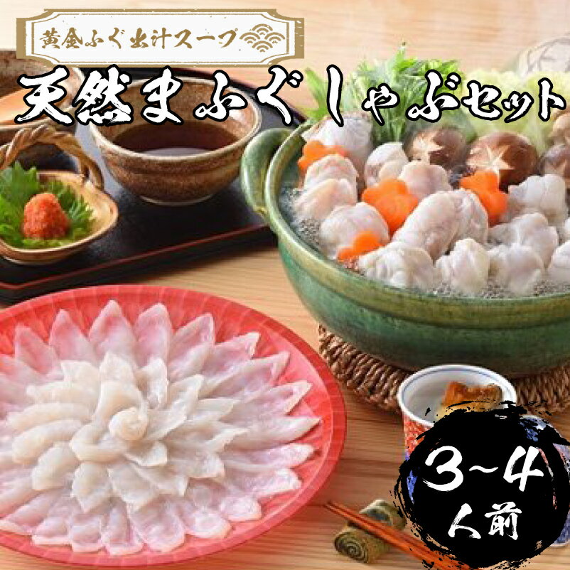 【ふるさと納税】 下関 ふぐ 天然 しゃぶしゃぶ ふぐちり セット 3〜4人前 冷凍【極み！黄金 ふぐ出汁 スープ 】 てっちり 真ふぐ 鍋 ふぐ鍋 ふく まふぐ ギフト 人気 海鮮 鮮魚 ギフト プレゼント 記念日 先行予約 山口 【2026年3月より発送】