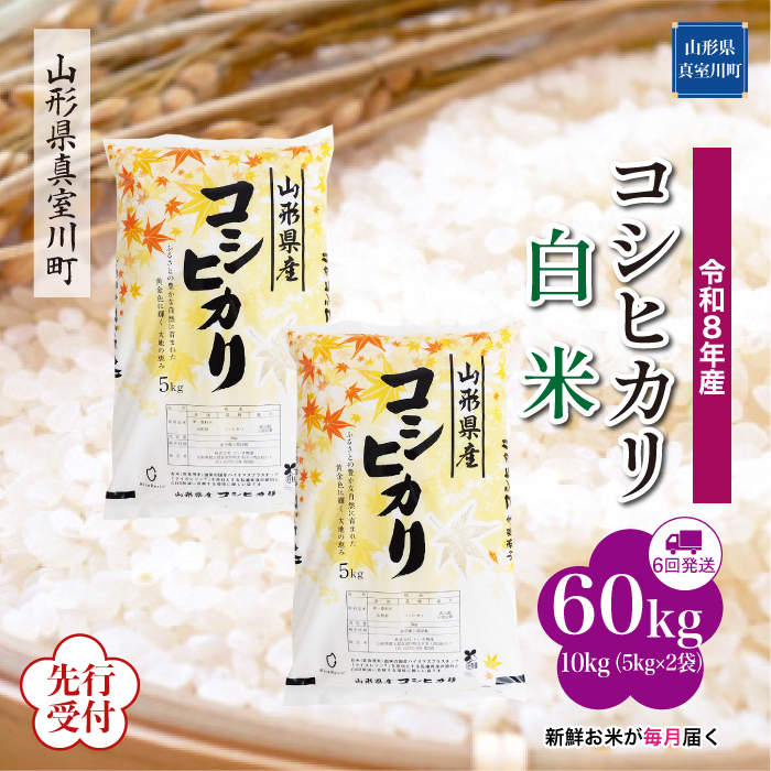 ＜令和8年産米先行受付＞ 山形県産 こしひかり 【白米】60kg定期便(10kg×6回)　配送時期指定できます！
