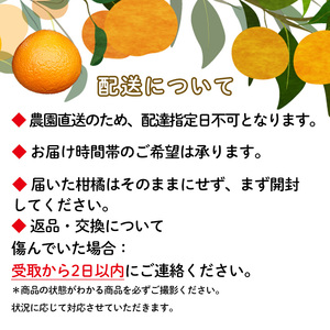 レモン 1kg  2023年10月～2024年6月発送 ||柑橘 ﾚﾓﾝ 檸檬 ﾚﾓﾝ 果物 ﾚﾓﾝくだもの ﾚﾓﾝ 果実 ﾚﾓﾝ 国産 ﾚﾓﾝ フルーツ ﾚﾓﾝ 有名 ﾚﾓﾝ 愛媛 ﾚﾓﾝ はちみつ