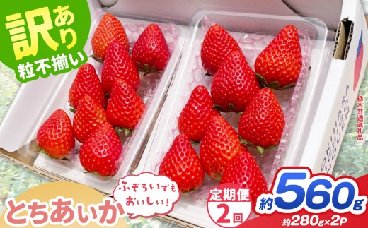 【先行予約】【定期2回】訳あり とちあいか 約 280g × 2P ｜【栃木県共通返礼品】いちご イチゴ 苺 訳あり 不揃い 粒 ハート 栃木県 那珂川町 送料無料