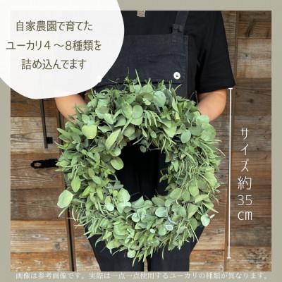 ふるさと納税 入間市 【ユーカリ農家直送】摘みたてユーカリリース　 |  | 01