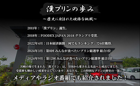 九州男児 漢プリン 6個入り 漢 スイーツ プリン