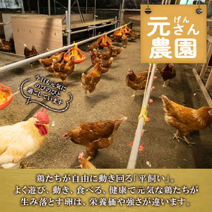 ＜訳あり・規格外＞ 平飼い赤鶏のたまご (計54個) 元さん農園 卵 玉子 卵かけご飯 玉子焼き 平飼い 鶏 鶏卵 養鶏場直送 新鮮 大分県 佐伯市 【GE008】【 (株)海九】