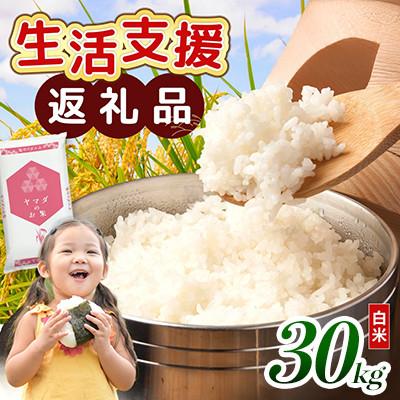ふるさと納税 愛荘町 【令和7年産含む】 近江ブレンド米 30kg 愛荘町産 白米