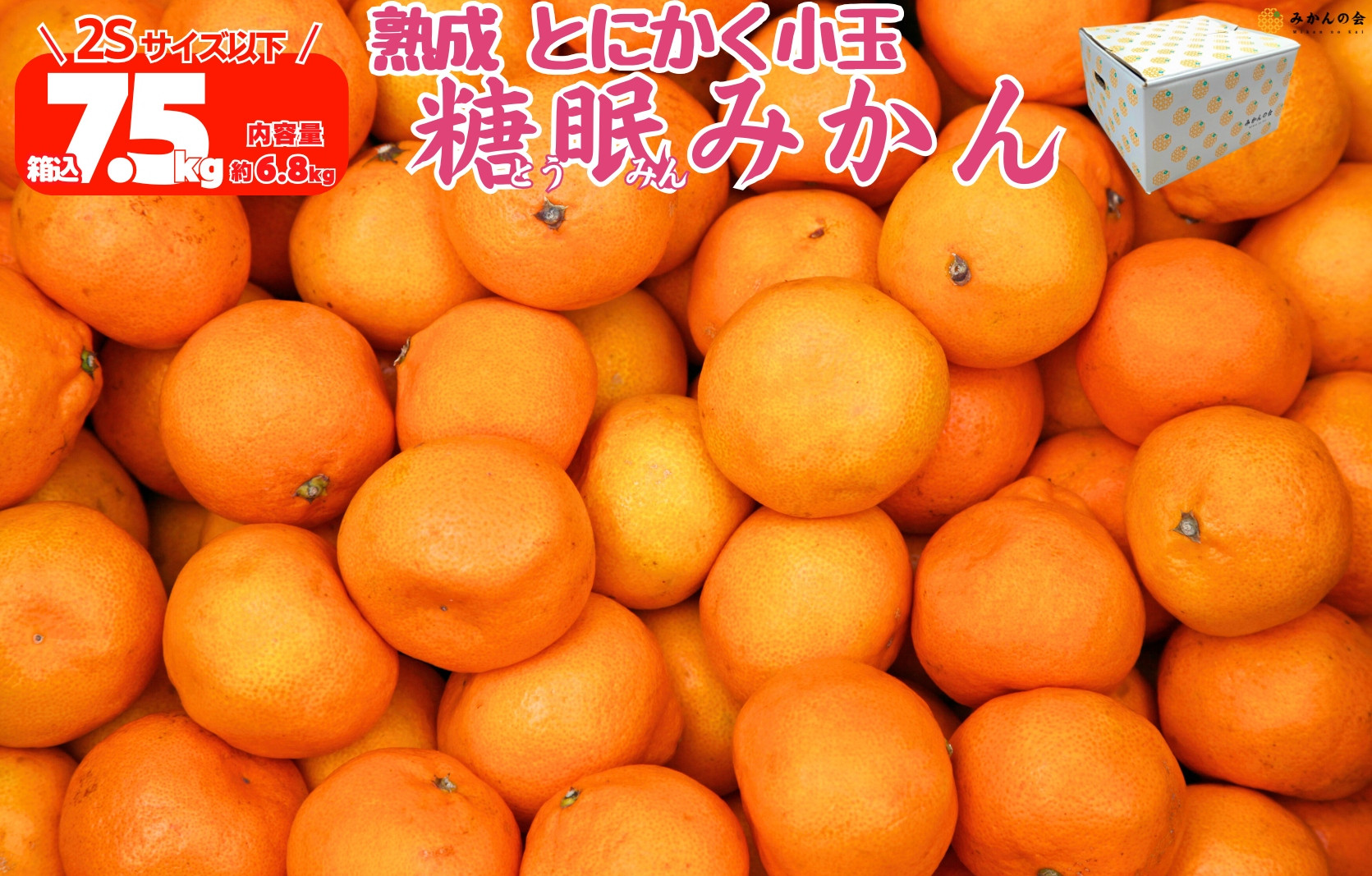 ［先行予約］熟成 みかん とにかく 小玉 箱込7.5kg ( 内容量 6.8kg ) 2Sサイズ以下 秀品 優品 混合 有田みかん 和歌山産 産地直送 家庭用 【みかんの会】