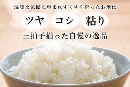 【令和7年度産】 松本さんちのお米10kg