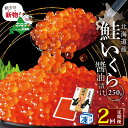 【ふるさと納税】【 年2回 いくら 定期便 毎月 定期 】高評価★4.67 北海道 別海町 産 鮭 イクラ 250g 1パック 2回 漁協から直送 計 500g （ ふるさと納税 イクラ 定期便 ふるさと納税 いくら 定期便 醤油漬け 500グラム 小分け 鮭卵 2 2ヶ月 2ケ月 2ヵ月 2か月 ） 秋 旬