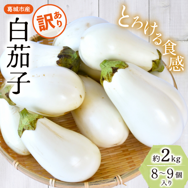 【訳あり】とろ～り旨なす(白茄子) 約2kg 8～9個【2026年7月初旬～9月末頃順次発送】／ B-フレスコ葛城 葛城産 大和野菜  しろなす  なすび  なす農家直送 産直 新鮮 旬 名産 奈良県