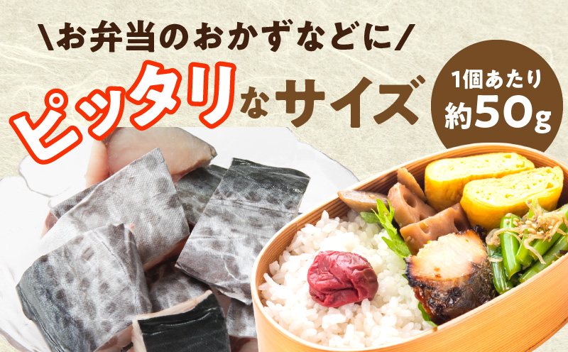 【お弁当サイズ】さわら 切身 約50g×10切れ【小分け 漁師 手切り 500g 泉州 鰆 切り身 弁当 朝食 時短 訳あり サイズ不揃い 規格外 冷凍食品】 G3707