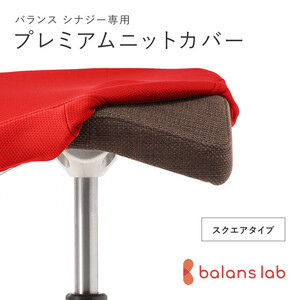 バランスシナジー専用プレミアムニットカバー（レッド）スクエアシート用 はっ水加工【 チェアカバー 椅子カバー チェアカバー 椅子カバー チェアカバー 椅子カバー チェアカバー 椅子カバー 】