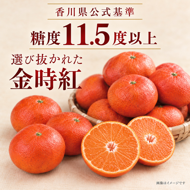みかん 小原紅早生 金時紅 香川県産 国産 約3kg L〜Sサイズ混合 糖度11度以上 甘い 果皮が紅い 品種登録 柑橘 ミカン 蜜柑 こはらべにわせ フルーツ 果物 くだもの 果物類 デザート おや