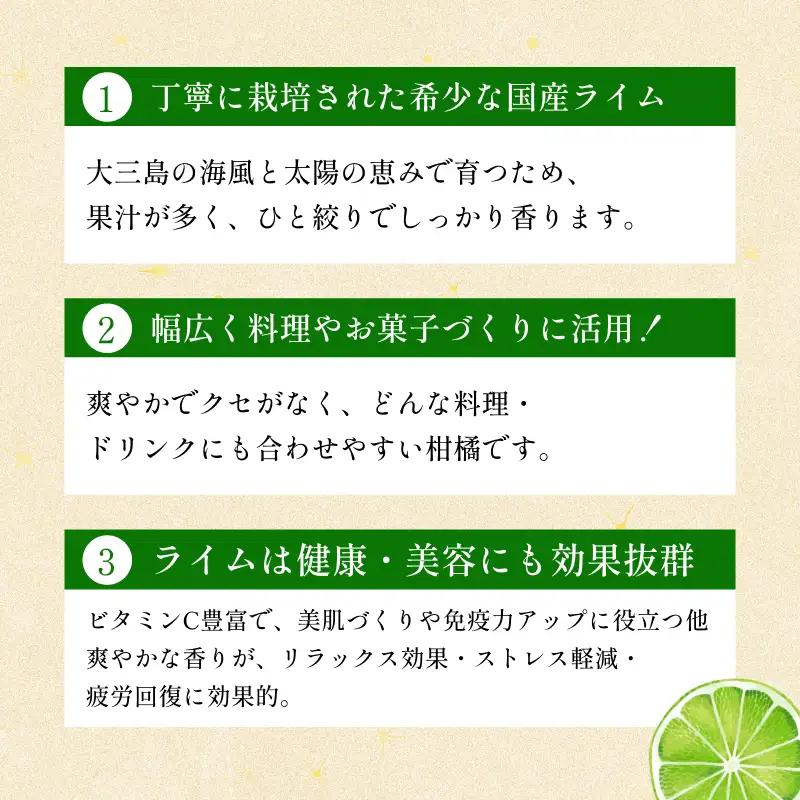 【先行予約】宗方印 ライム（家庭用）約1kg