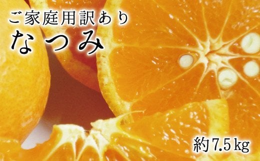 【ご家庭用訳アリ】初夏のみかん なつみ7.5kg　※2025年4月中旬?2025年4月下旬頃に順次発送予定(お届け日指定不可)【uot733】