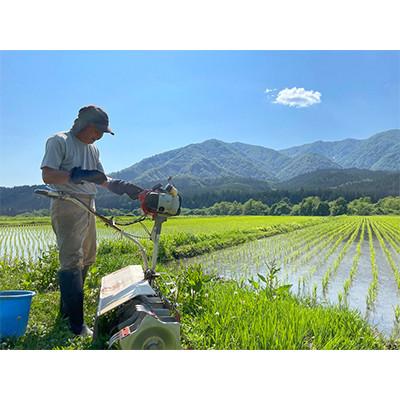 ふるさと納税 最上町 【令和6年産】特別栽培米　蛍たる米コシヒカリ(玄米)15kg |  | 01