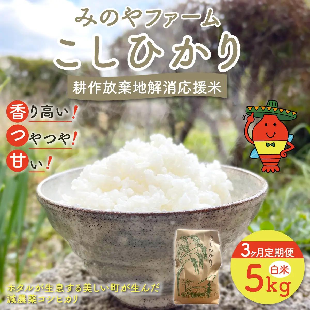 【3ヶ月定期便】みのやファーム耕作放棄地解消応援米　こしひかり　5ｋｇ（白米）ONJF009