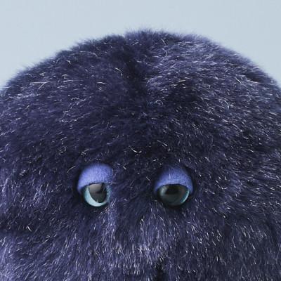 ふるさと納税 橋本市 粘菌の森(ぬいぐるみ)　ルリホコリ |  | 02