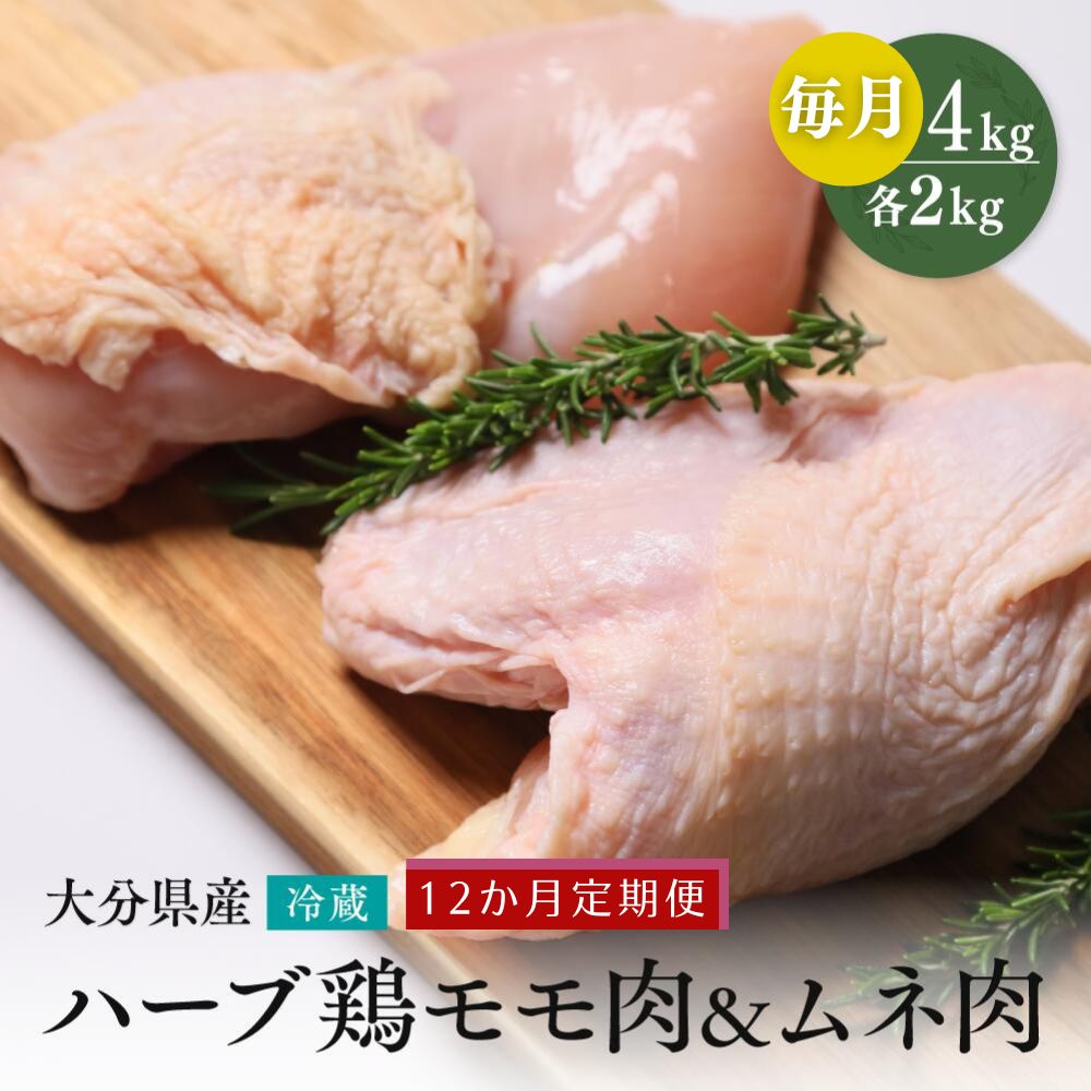 【ふるさと納税】鶏肉 定期便 もも肉 むね肉 大分県産 ハーブ鶏 【各2kg／12か月定期便】計48kg 業務用 冷蔵 配送 国産 九州 鶏肉 鶏もも ムネ 毎月 発送 12回