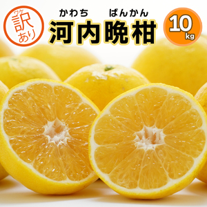 訳あり みかん職人の河内晩柑  10kg (なくなり次第終了) 河内晩柑 果物 柑橘 みかん 愛南ゴールド 蜜柑 グレープフルーツ ゼリー ジュース アイス 果物 フルーツ 健康 美容 ビタミン クエン酸 訳あり サイズミックス 規格外 送料無料 10kg 15000円 武田屋