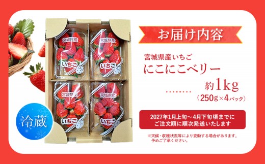 【先行受付】宮城県産いちご「にこにこベリー」約1kg（250ｇ×4）