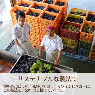 ふるさと納税 山梨県 【簡単・時短おうちごはん応援!】ピクルスワインビネガー5本セット -自社醸造ワインビネガー使用- |  | 03