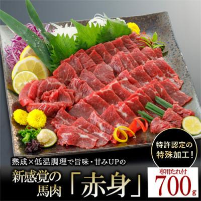 ふるさと納税 小国町 【毎月定期便】馬肉 赤身 約700g 専用たれ付き(小国町)全3回