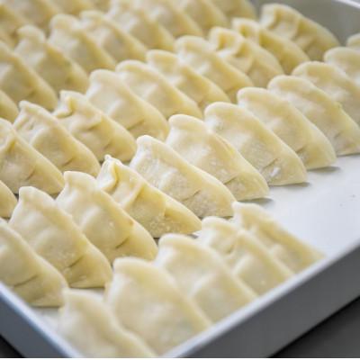 ふるさと納税 那須塩原市 那須餃子 50個入×那須餃子のもつ煮 700g |  | 02