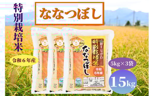 北海道奈井江町　特別栽培米　ななつぼし　15kg
