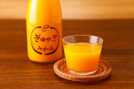 【定期便】いのうえ農園 みかんジュース2本セット 全2回※離島への配送不可 IKTAI025