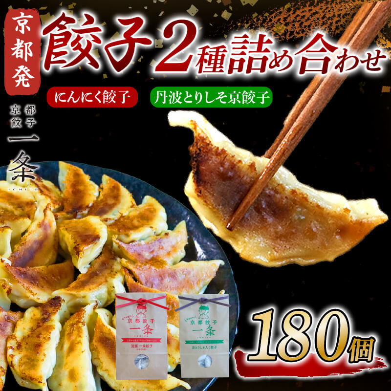 【ふるさと納税】 餃子 2種詰め合わせセット にんにく餃子 ＆ 丹波とりしそ京餃子 180個 冷凍 ぎょうざ ギョウザ ギョーザ しょうが 生姜 豚肉 簡単調理 惣菜 絶品 おかず お子様 家族 餃子 人気餃子 簡易包装餃子 冷凍生餃子 京都 井手町 京都餃子一条 【234】